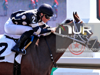 Jockey Emma-Jayne Wilson rides Ask in My Name to a win in the second race at Woodbine Racetrack in Toronto, Canada, on September 1, 2024. (