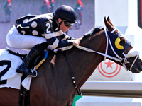 Jockey Emma-Jayne Wilson rides Ask in My Name to a win in the second race at Woodbine Racetrack in Toronto, Canada, on September 1, 2024. (