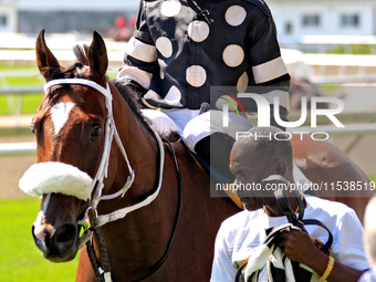 Jockey Emma-Jayne Wilson rides Ask in My Name to the winner's circle after a win in the second race at Woodbine Racetrack in Toronto, Canada...