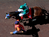 Jockey Keveh Nicholls rides Shameless Affair out of the paddock ahead of the third race at Woodbine Racetrack in Toronto, Canada, on Septemb...