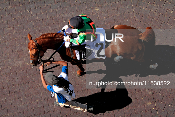 Jockey David Moran rides Mitole Power out of the paddock ahead of the third race at Woodbine Racetrack in Toronto, Canada, on September 1, 2...