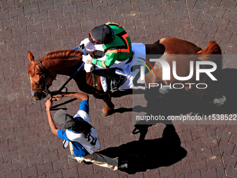 Jockey David Moran rides Mitole Power out of the paddock ahead of the third race at Woodbine Racetrack in Toronto, Canada, on September 1, 2...