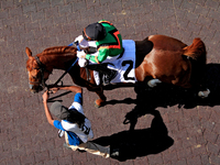 Jockey David Moran rides Mitole Power out of the paddock ahead of the third race at Woodbine Racetrack in Toronto, Canada, on September 1, 2...