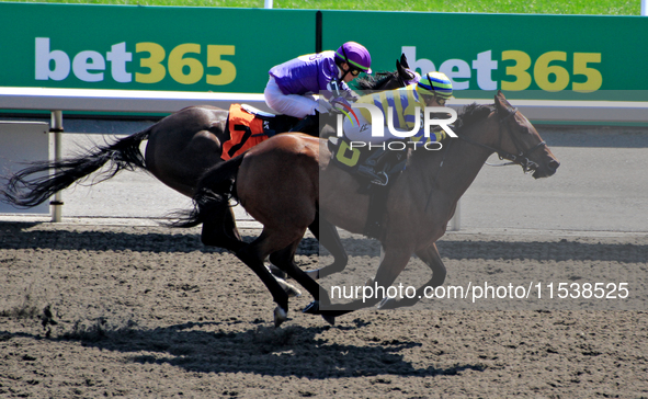 Jockey Sofia Vives rides Home for a Rest (6) to a win in the third race at Woodbine Racetrack in Toronto, Canada, on September 1, 2024. 