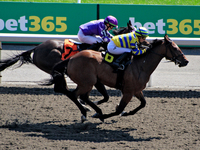 Jockey Sofia Vives rides Home for a Rest (6) to a win in the third race at Woodbine Racetrack in Toronto, Canada, on September 1, 2024. (