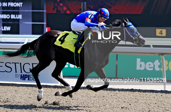 Jockey Sahin Civaci rides Midnight Tempesta to a win in the fourth race at Woodbine Racetrack in Toronto, Canada, on September 1, 2024. 