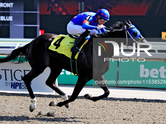 Jockey Sahin Civaci rides Midnight Tempesta to a win in the fourth race at Woodbine Racetrack in Toronto, Canada, on September 1, 2024. (