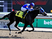 Jockey Sahin Civaci rides Midnight Tempesta to a win in the fourth race at Woodbine Racetrack in Toronto, Canada, on September 1, 2024. (