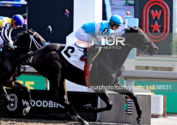 Jockey Pietro Moran rides Ada May to a win in the fifth race at Woodbine Racetrack in Toronto, Canada, on September 1, 2024. 