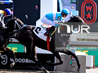 Jockey Pietro Moran rides Ada May to a win in the fifth race at Woodbine Racetrack in Toronto, Canada, on September 1, 2024. (