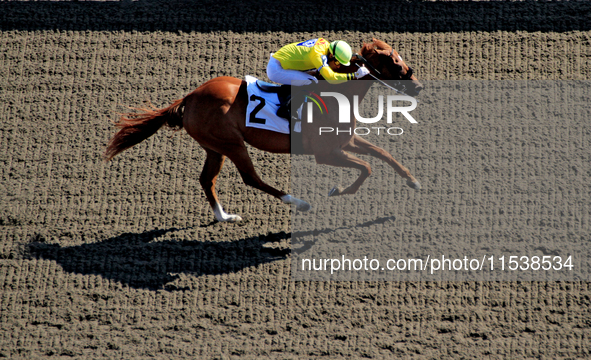 Jockey Sahin Civaci rides Peach Cobbler to a win in the sixth race at Woodbine Racetrack in Toronto, Canada, on September 1, 2024. 