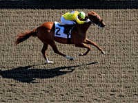 Jockey Sahin Civaci rides Peach Cobbler to a win in the sixth race at Woodbine Racetrack in Toronto, Canada, on September 1, 2024. (