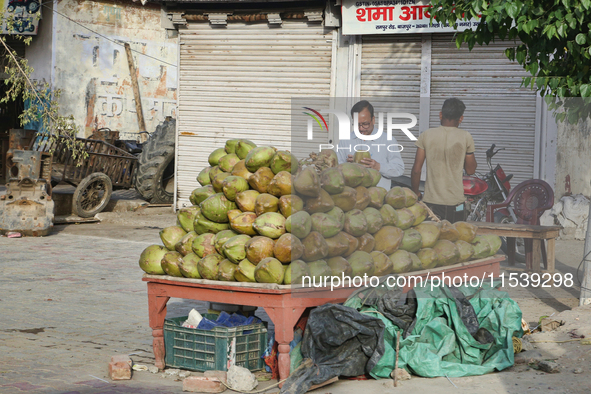 A man sells coconuts along the roadside in Bazpur, Uttarakhand, India, on April 19, 2024. 