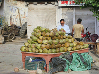 A man sells coconuts along the roadside in Bazpur, Uttarakhand, India, on April 19, 2024. (