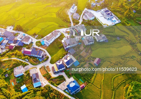 Layered rice terraces are seen in Yuexi County, Anqing, China, on September 2, 2024. 