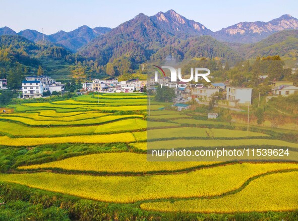 Layered rice terraces are seen in Yuexi County, Anqing, China, on September 2, 2024. 