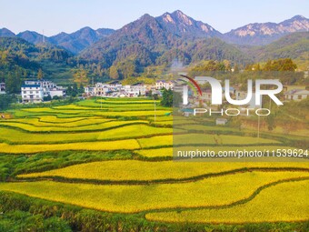 Layered rice terraces are seen in Yuexi County, Anqing, China, on September 2, 2024. (