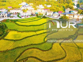 Layered rice terraces are seen in Yuexi County, Anqing, China, on September 2, 2024. (