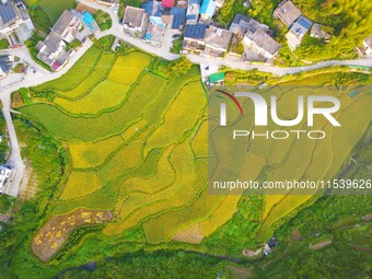 Layered rice terraces are seen in Yuexi County, Anqing, China, on September 2, 2024. (