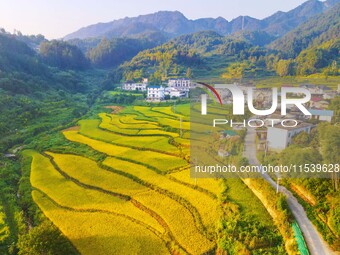 Layered rice terraces are seen in Yuexi County, Anqing, China, on September 2, 2024. (