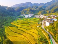 Layered rice terraces are seen in Yuexi County, Anqing, China, on September 2, 2024. (