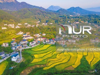 Layered rice terraces are seen in Yuexi County, Anqing, China, on September 2, 2024. (