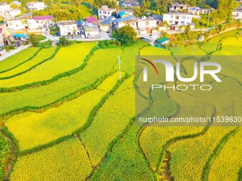 Layered rice terraces are seen in Yuexi County, Anqing, China, on September 2, 2024. (