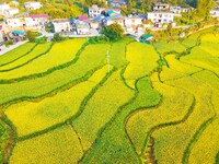 Layered rice terraces are seen in Yuexi County, Anqing, China, on September 2, 2024. (