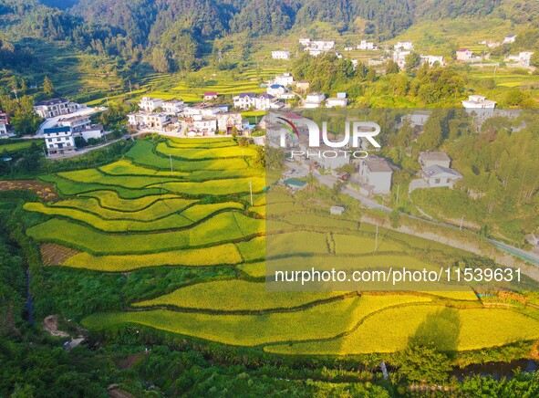 Layered rice terraces are seen in Yuexi County, Anqing, China, on September 2, 2024. 