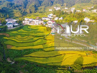 Layered rice terraces are seen in Yuexi County, Anqing, China, on September 2, 2024. (