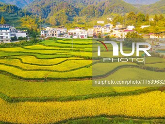 Layered rice terraces are seen in Yuexi County, Anqing, China, on September 2, 2024. (