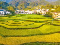 Layered rice terraces are seen in Yuexi County, Anqing, China, on September 2, 2024. (