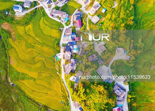 Layered rice terraces are seen in Yuexi County, Anqing, China, on September 2, 2024. 