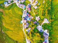 Layered rice terraces are seen in Yuexi County, Anqing, China, on September 2, 2024. (