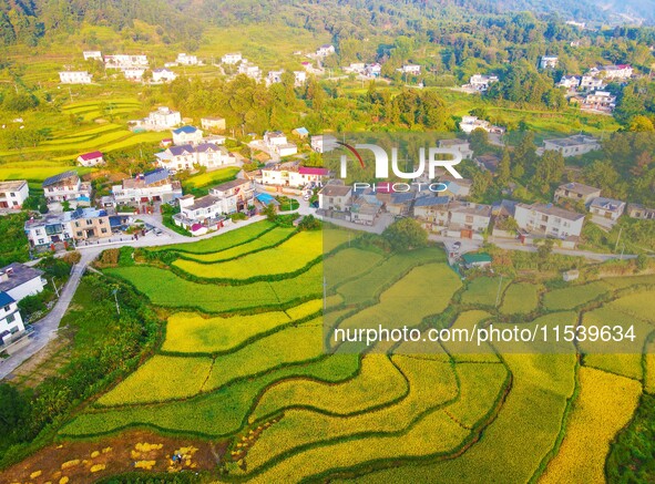 Layered rice terraces are seen in Yuexi County, Anqing, China, on September 2, 2024. 