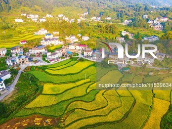 Layered rice terraces are seen in Yuexi County, Anqing, China, on September 2, 2024. (