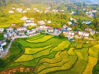 Layered rice terraces are seen in Yuexi County, Anqing, China, on September 2, 2024. (