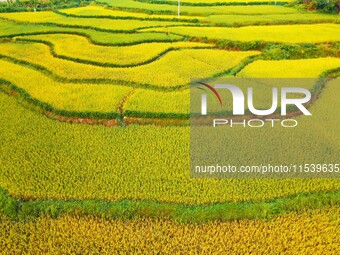 Layered rice terraces are seen in Yuexi County, Anqing, China, on September 2, 2024. (