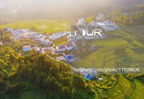 Layered rice terraces are seen in Yuexi County, Anqing, China, on September 2, 2024. 