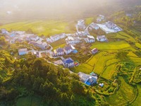 Layered rice terraces are seen in Yuexi County, Anqing, China, on September 2, 2024. (