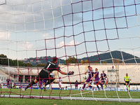 Pietro Terracciano of ACF Fiorentina during the Italian Serie A football match between ACF Fiorentina and A.C. Monza in Florence, Italy, on...