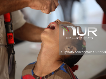 A Palestinian child receives a polio vaccination in the UK-MED field hospital in Zawayda, Gaza Strip, on September 2, 2024, amid the ongoing...