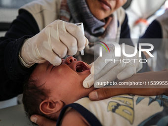 A Palestinian child receives a polio vaccination in the UK-MED field hospital in Zawayda, Gaza Strip, on September 2, 2024, amid the ongoing...