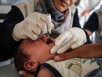 A Palestinian child receives a polio vaccination in the UK-MED field hospital in Zawayda, Gaza Strip, on September 2, 2024, amid the ongoing...