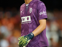 Giorgi Mamardashvili of Valencia CF looks on prior to the LaLiga EA Sports match between Valencia CF and Villarreal CF at Mestalla stadium i...