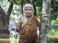 An elderly woman stands in waist-deep flood water in a village of Sonapur Union in Sonaimuri Upazila of Noakhali District of Chittagong Divi...