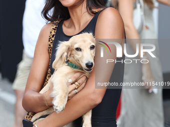 Alexandra Saint Mleux with dog Leo before the Formula 1 Italian Grand Prix at Autodromo Nazionale di Monza in Monza, Italy on September 1, 2...