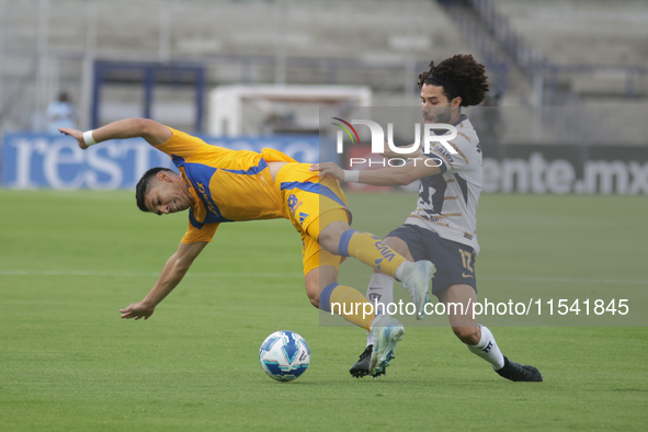 Cesar Huerta #12 of Pumas and Jesus Angulo #27 of Tigres battle for the ball during Matchday 6 as part of the Torneo de Apertura 2024 Liga M...