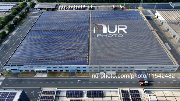 Rows of photovoltaic panels are seen on top of a New Materials company house in Haian, China, on September 3, 2024. 