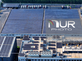 Rows of photovoltaic panels are seen on top of a New Materials company house in Haian, China, on September 3, 2024. (